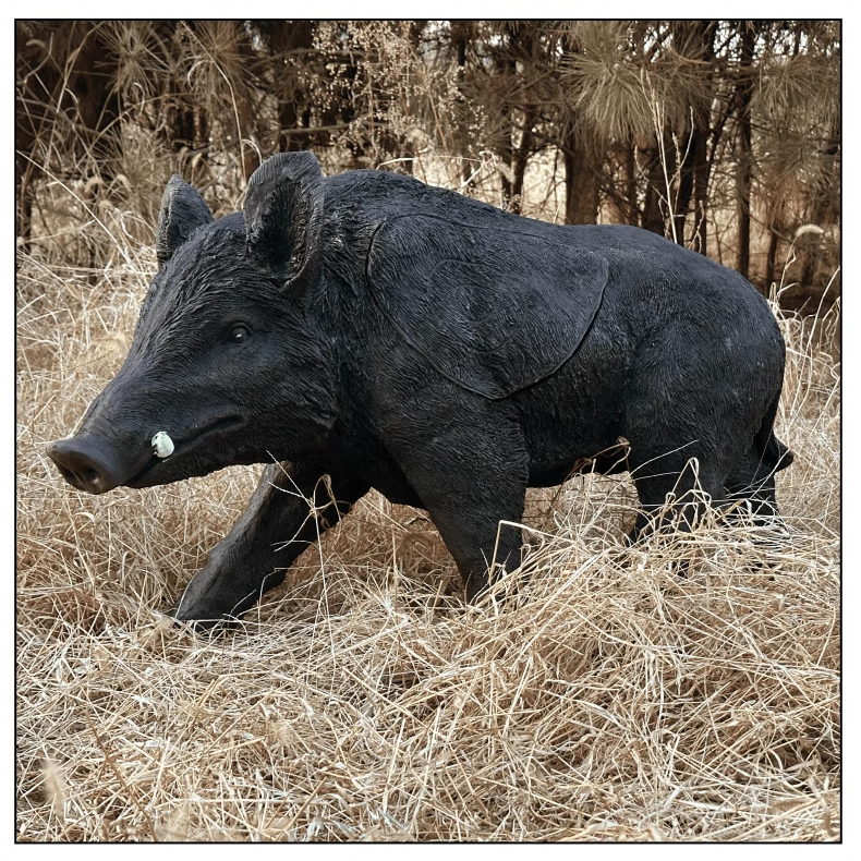 Wild boar replacement target